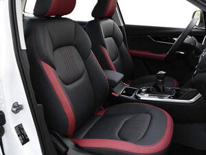 بيستون T33 الداخلية 