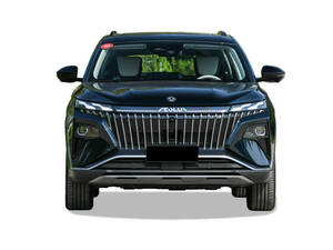 دونغ فينغ ضخم الداخلية 