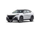 Dongfeng Mage