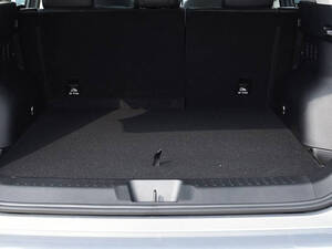 هافال دارغو الخارجية 