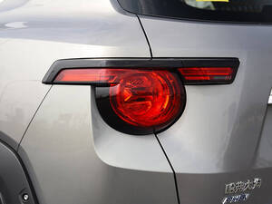 هافال دارغو الخارجية 